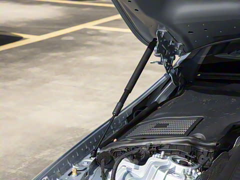 2026�� CLE 260 ���ܳ�