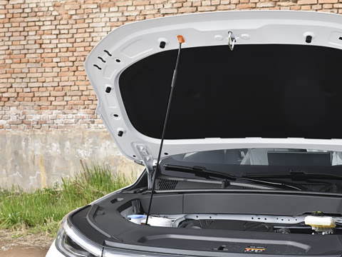 2026�� �����