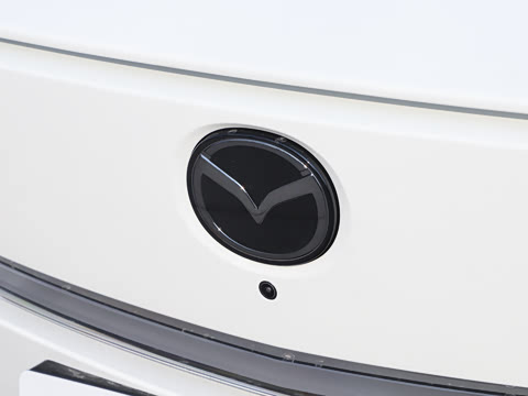 2025�� ����600 Max