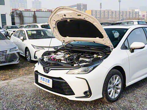 2025�� 1.2T ��Ӣ��