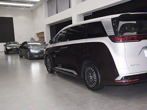 2025�� DM-i ����������