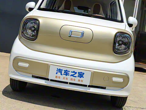 2026�� 222km ��ҫ��