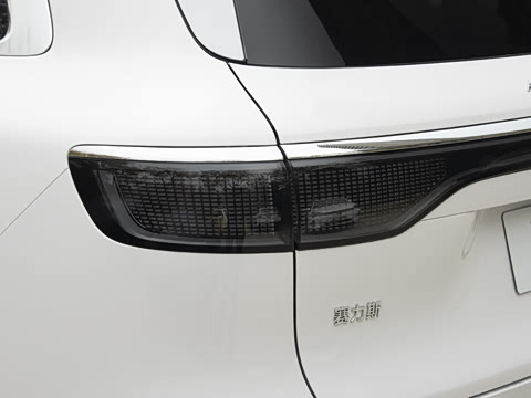 2025�� ���� Max+ ���������� 