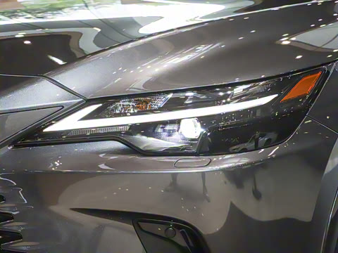 2025�� 300 ����������