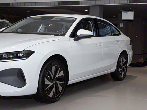 2026�� L 300TSI DSG ʱ����