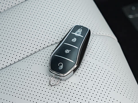2026�� DM-i 310KM ��Խ��