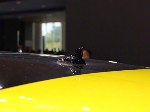 2025�� ����