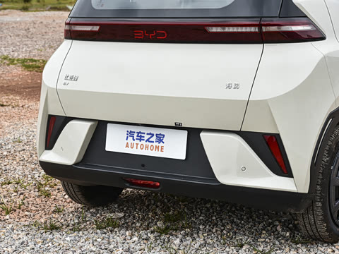 2026�� 305km ������