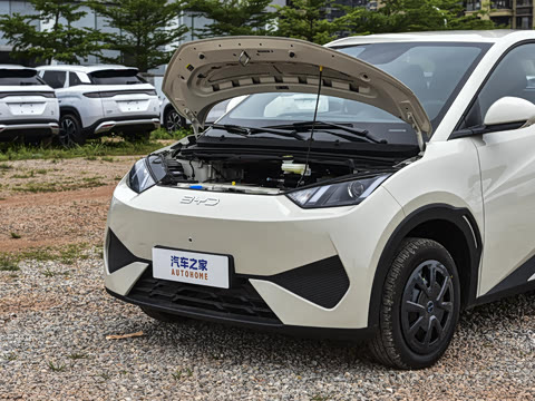 2026�� 305km ������