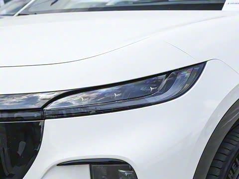 2025�� ����Ǭ����