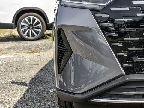 2025�� 290T ��������+