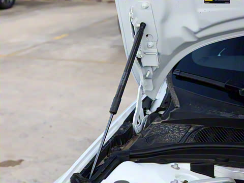 2026�� B4 ��Զ�˶���