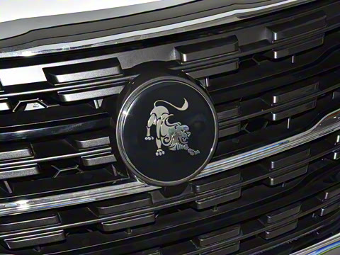 2025�� 2.0L �ֶ�������CNG 7��