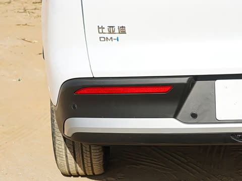 2026�� DM-i 220KM��Խ��