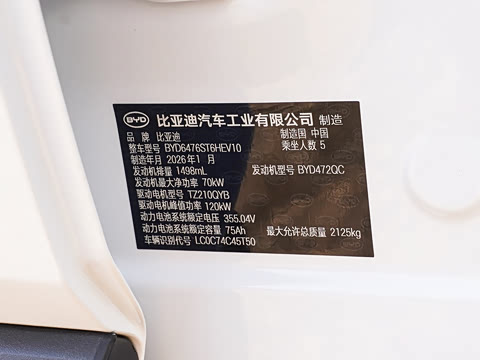 2026�� DM-i 220KM��Խ��