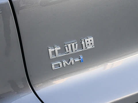 2026�� DM-i 220KM��Խ��