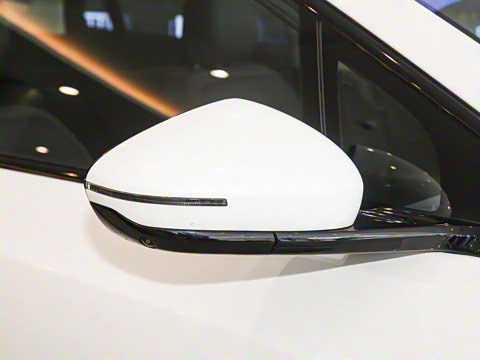 2025�� 520 ��ѡ��