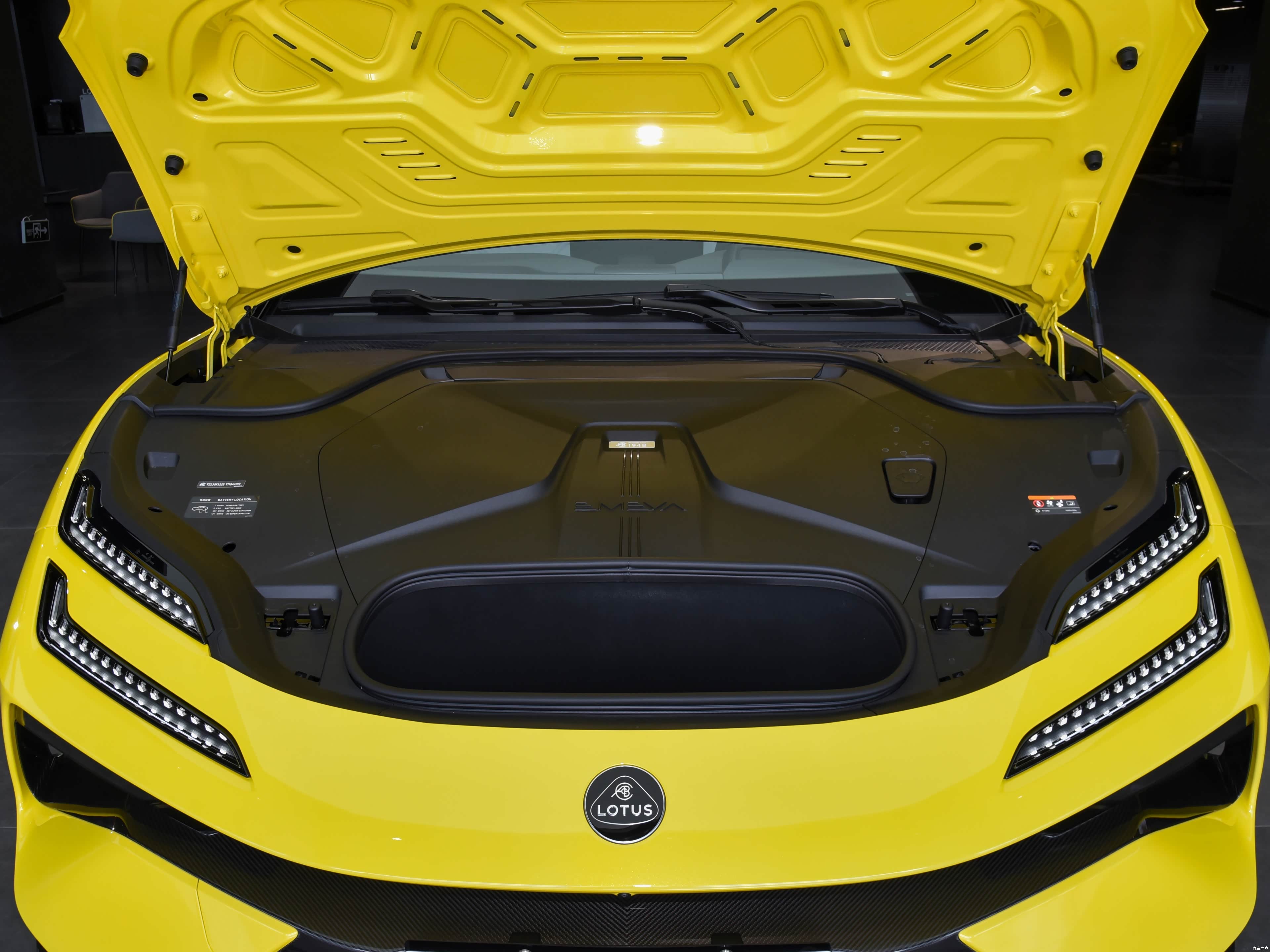 Lotus Emeya, миниатюра 30