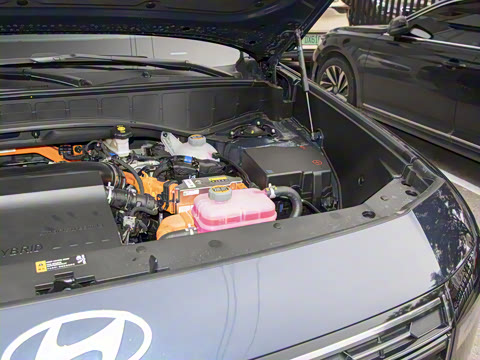 2026�� 2.5T Calligraphy ���ͼ� 6��