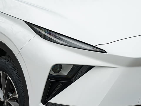 2026�� �˶������