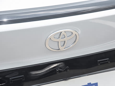 2026�� ˫�� 2.5HXS �˶�Plus��