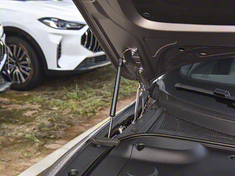 2026�� ������������� 730������