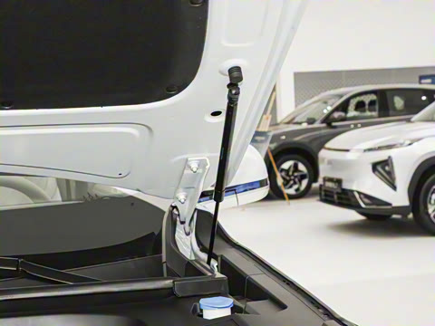 2025�� 230km �����Ǻ���