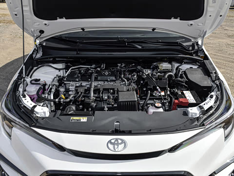 2026�� ����L ���ܵ��˫�� 1.8L ���Ȱ�