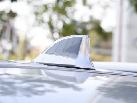 2026�� 2.5L�춯 ������