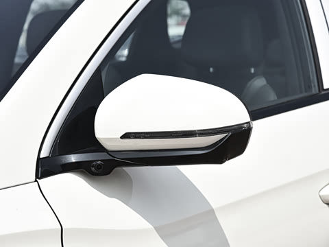 2026�� DM-i 220KM��Խ��