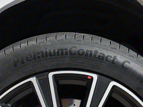 2025�� ������