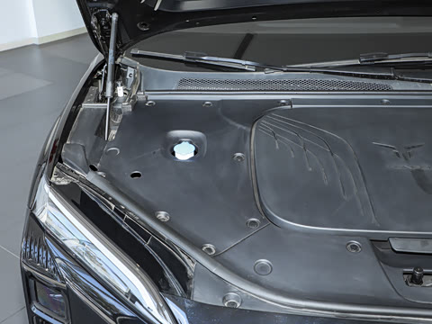 2025�� 565�����ȷ��