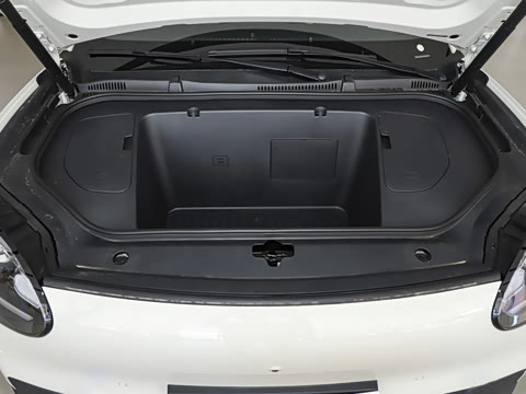 2026�� 310������