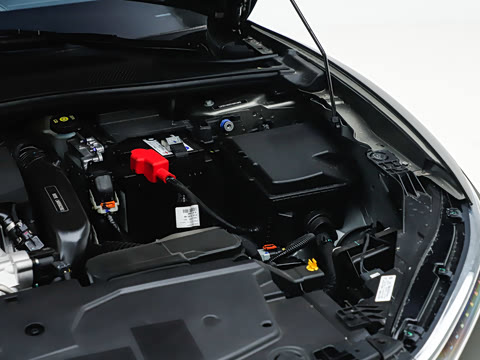 2026�� 1.6T ҫ����