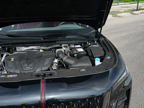 2025�� 2.0T �Զ���Ӱ200���������