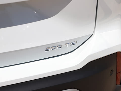 2026�� ̽��L 300TSI ������Ӣ