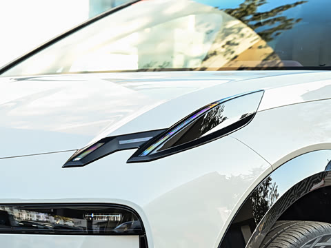 2026�� Max������