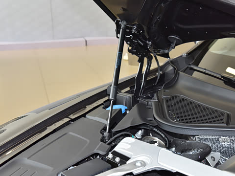 2024�� V8 Edition 8