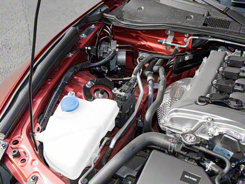 2025�� �ֶ��������� ī�����