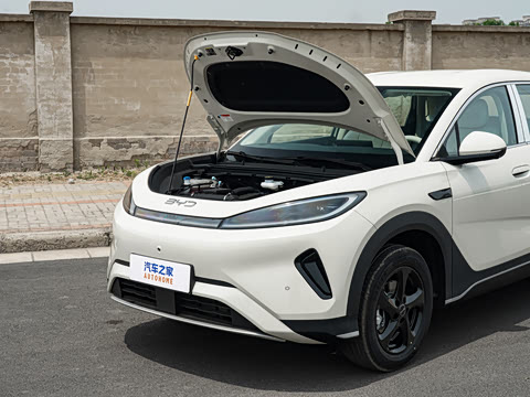 2026�� DM-i 220������