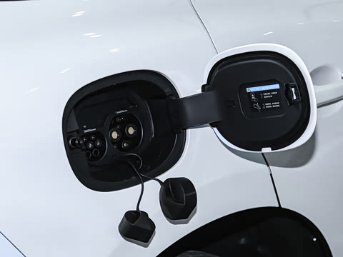 2026�� 550�������Ȱ�