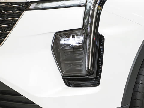 2024�� �Ŀ� 25T ����������