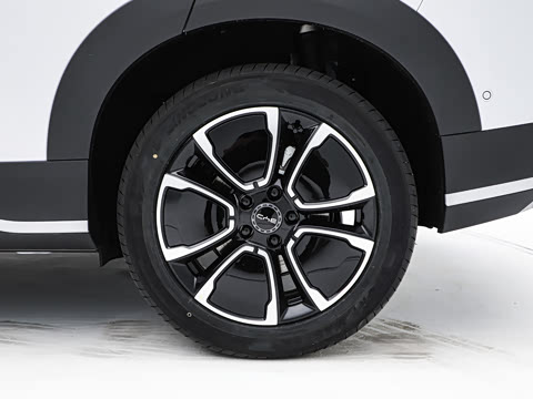 2026�� DM-i 220�Ǻ���