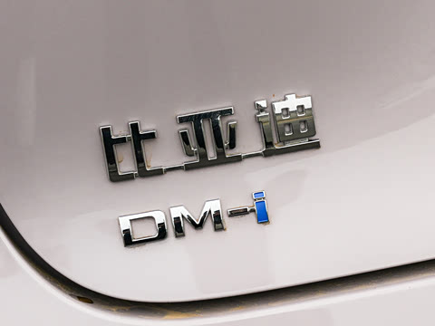 2026�� DM-i 305�Ǻ���