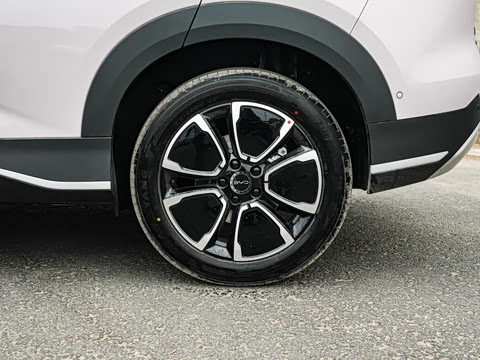 2026�� DM-i 305�Ǻ���
