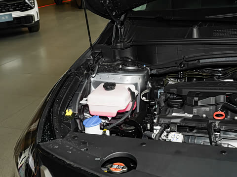 2026�� ����������