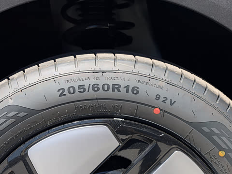 2026�� 310�Ȱ���