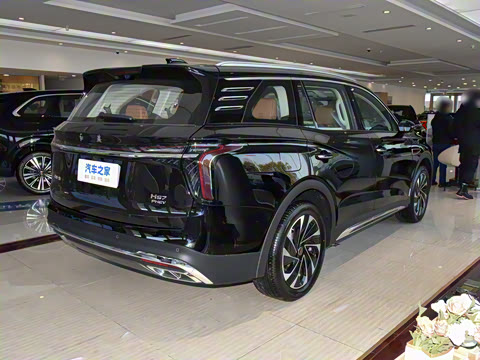 2025�� 2.0T PHEV ���������� 6��