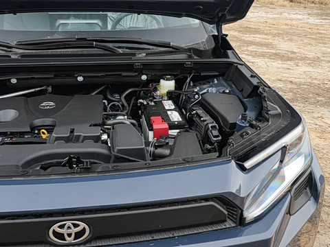 2026�� 2.0L ����������