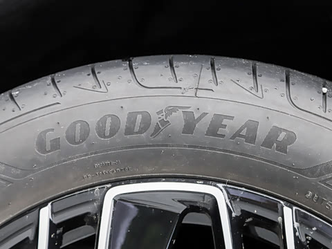 2026�� ����������